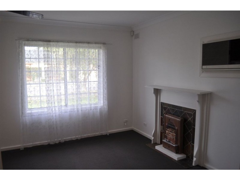 48 Alexander Avenue, Campbelltown SA 5074