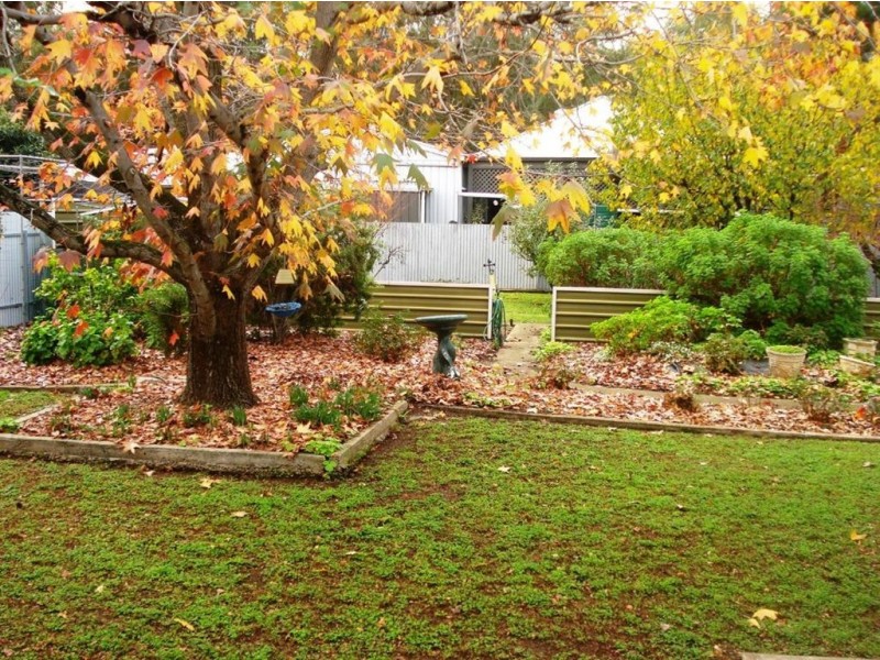 11 Primrose Avenue, Paradise SA 5075