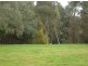 11 Primrose Avenue, Paradise SA 5075