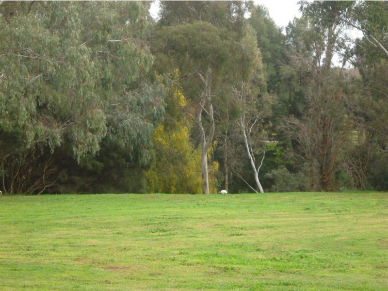 11 Primrose Avenue, Paradise SA 5075