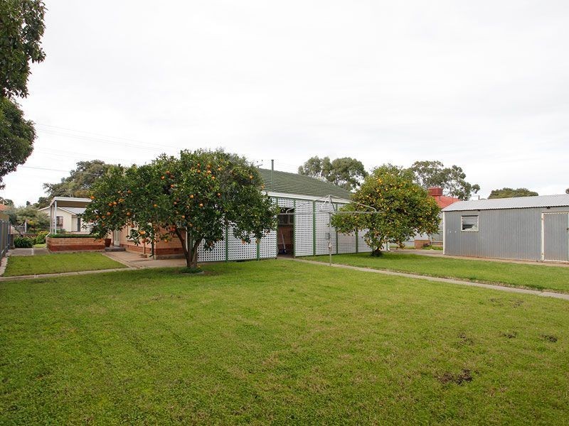 53 Avenue Road, Payneham SA 5070