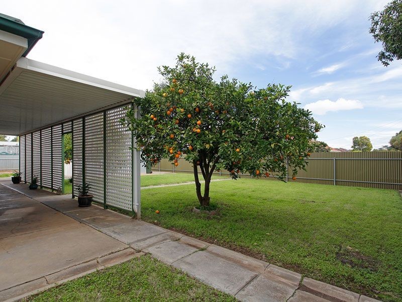 53 Avenue Road, Payneham SA 5070