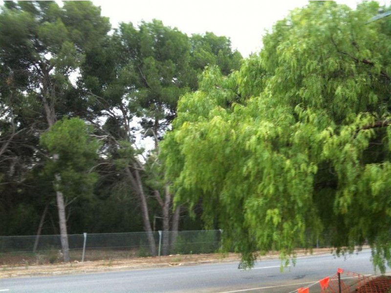 241A Lyons Road, Dernancourt SA 5075