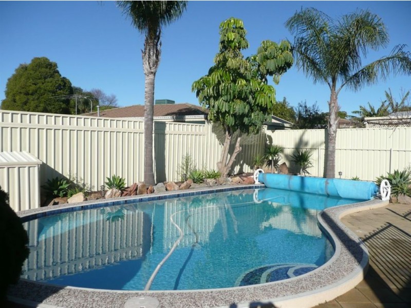 12 Pope Street, Newton SA 5074