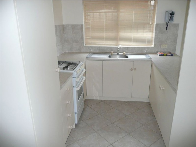 29A Greenwillow Avenue, Paradise SA 5075