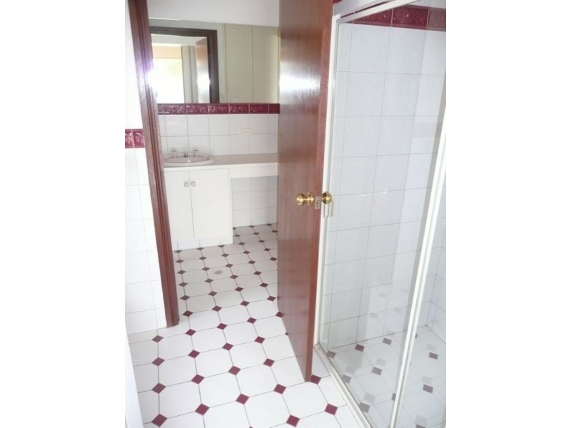 29A Greenwillow Avenue, Paradise SA 5075