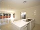 1 Appollo Avenue, Paradise SA 5075