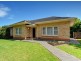 33 Hann Street, Glynde SA 5070