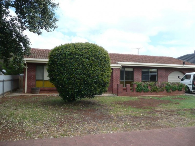 8 Pitt Street, Paradise SA 5075