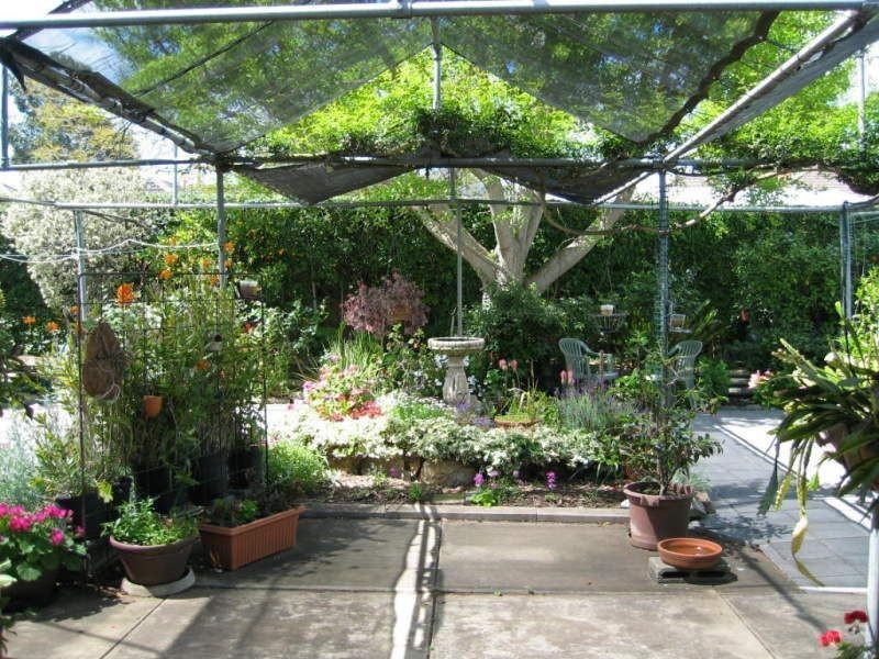 11 Orchard Grove, Newton SA 5074