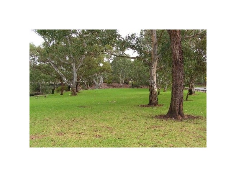 4 Angelo Street, Newton SA 5074