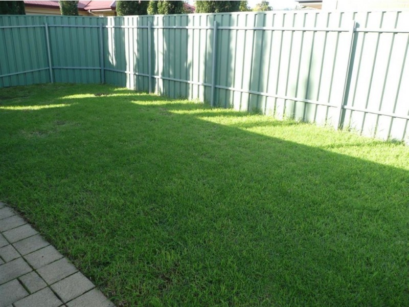 26 Alton Avenue, Magill SA 5072