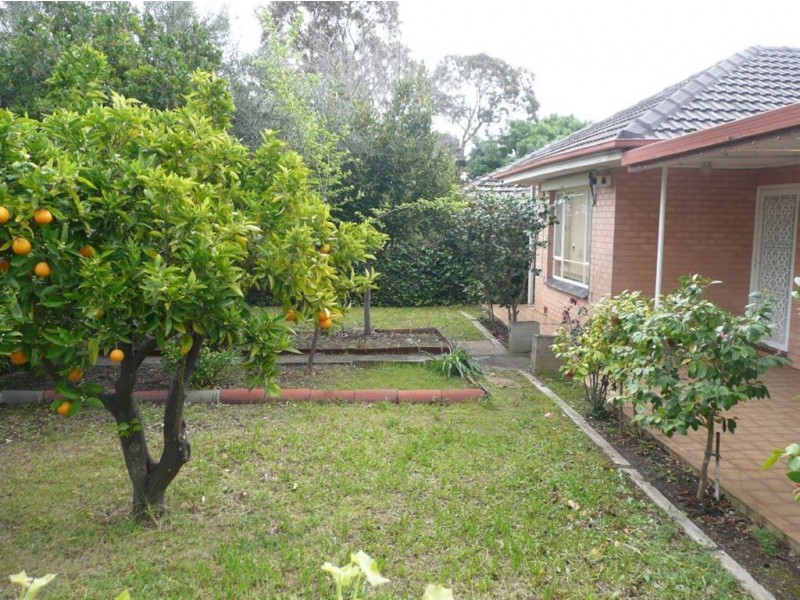 75 Ross Road, Hectorville SA 5073