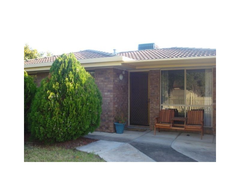 28 Roclin Avenue, Newton SA 5074