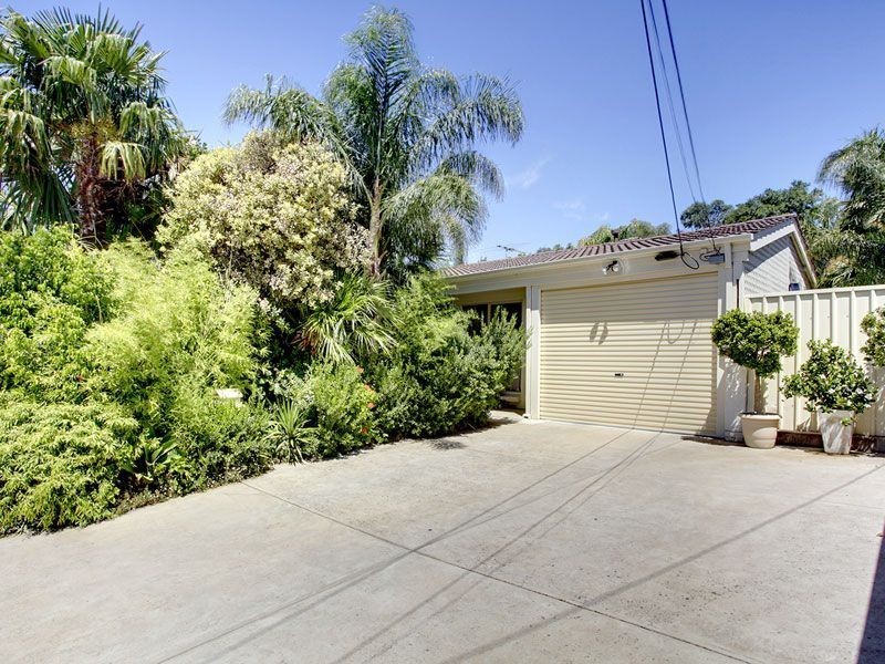 12 Silvermere Avenue, Paradise SA 5075