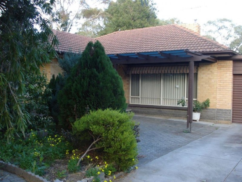 38 Schulze Road, Paradise SA 5075