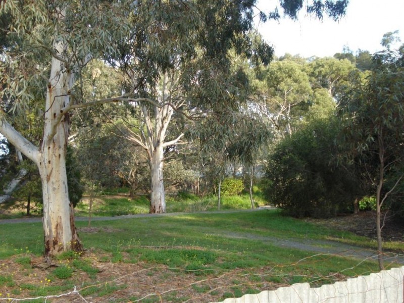 38 Schulze Road, Paradise SA 5075