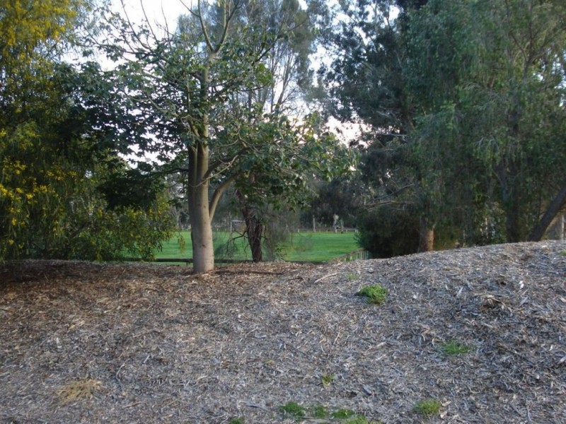38 Schulze Road, Paradise SA 5075