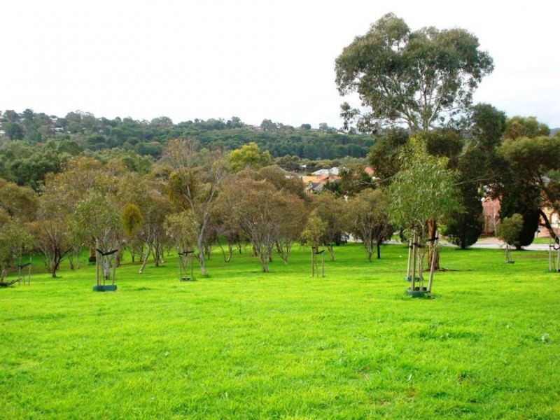 9A Coulls Road, Athelstone SA 5076