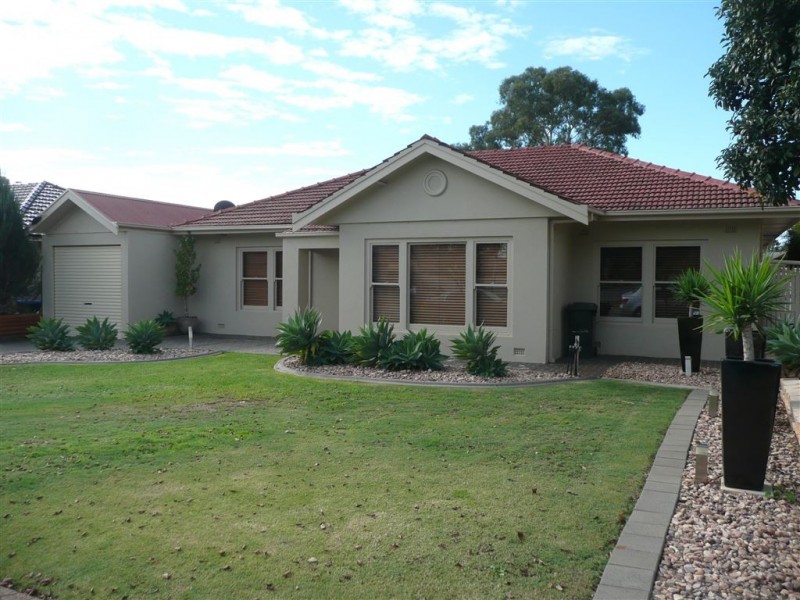 7 Budhollow Avenue, Paradise SA 5075