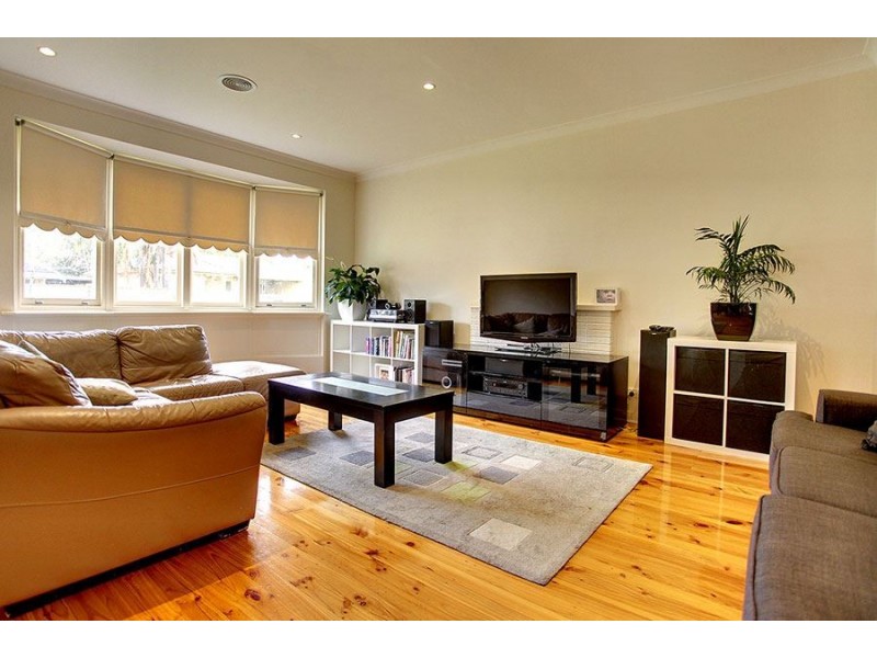 12 Amadio Crescent, Campbelltown SA 5074