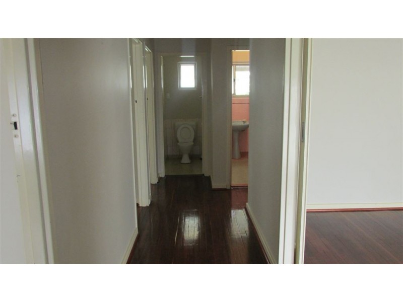 7 Wattle Street, Campbelltown SA 5074