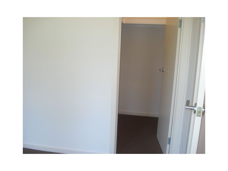 13 Aysgarth Avenue, Hectorville SA 5073