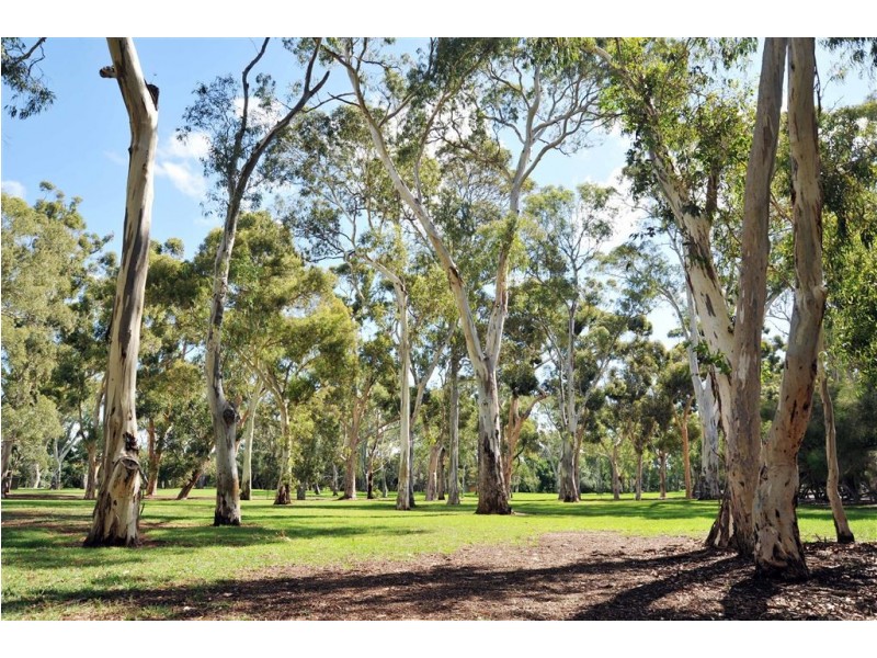27 Davenport Terrace, Hazelwood Park SA 5066