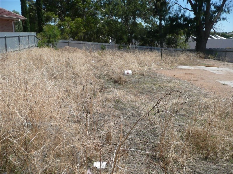 529 Lower North East Road, Campbelltown SA 5074