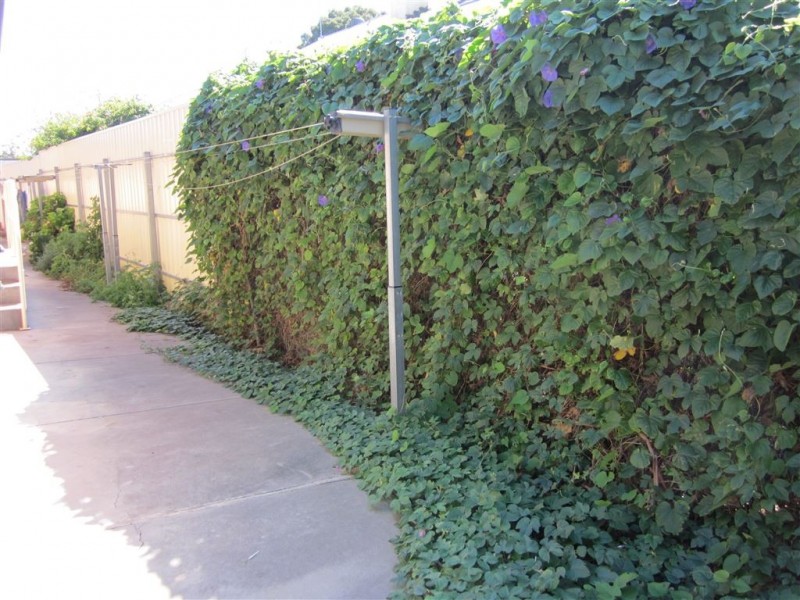 1/6 Radnor Avenue, Rostrevor SA 5073