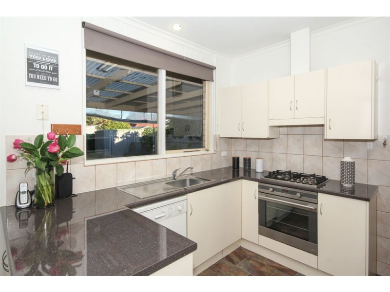 16 Gothic Drive, Paradise SA 5075