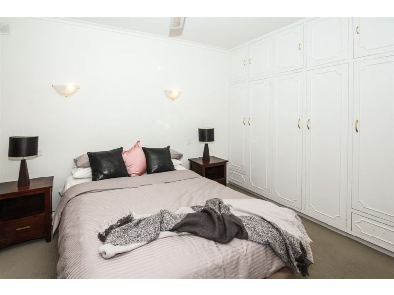 16 Gothic Drive, Paradise SA 5075