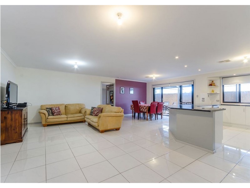 16 Castres Street, Glynde SA 5070