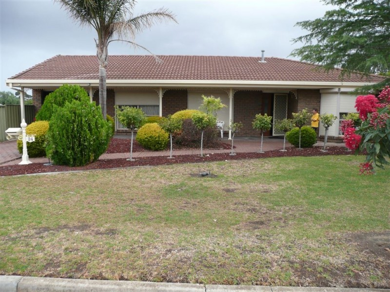 24 Avenue Road, Paradise SA 5075