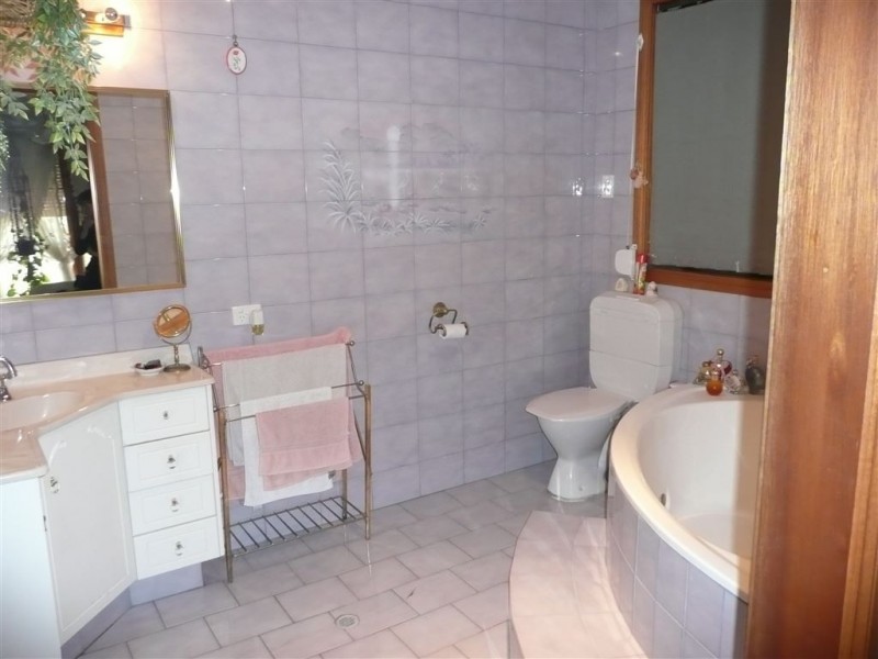 24 Avenue Road, Paradise SA 5075