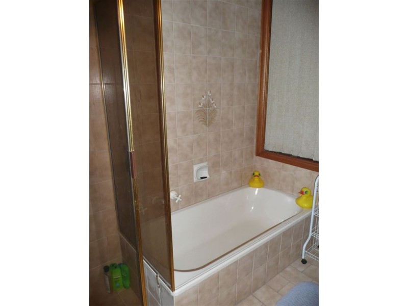 24 Avenue Road, Paradise SA 5075