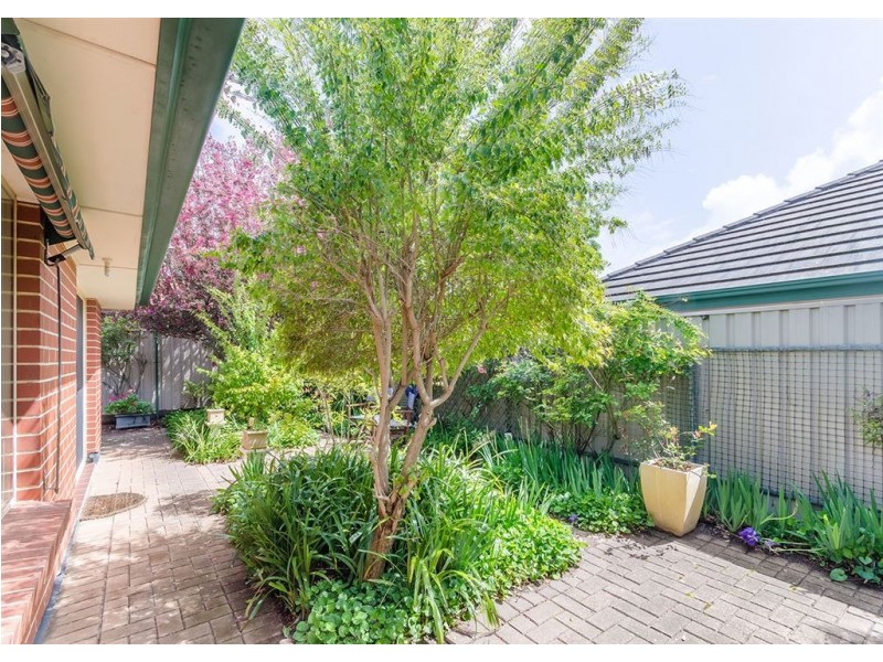 4 Field Street, Oakden SA 5086