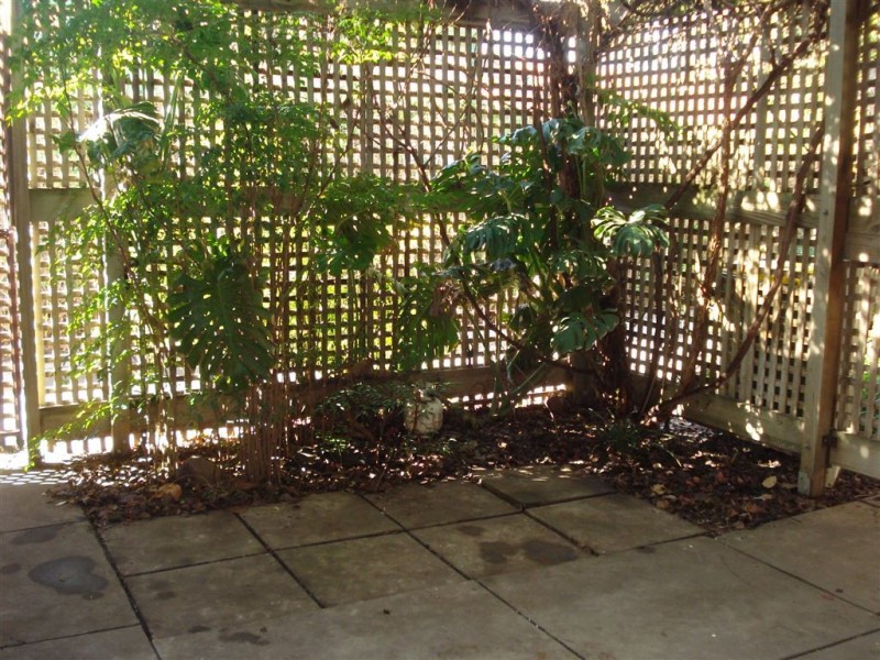 67 Boyle Street, Prospect SA 5082