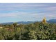 34 Maralinga Drive, Ashmore QLD 4214