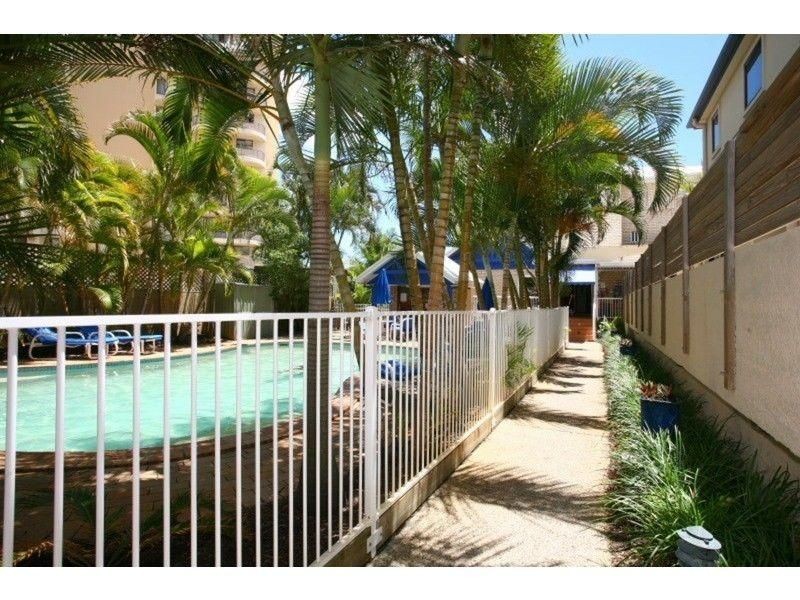 43 Cypress Avenue, Surfers Paradise QLD 4217