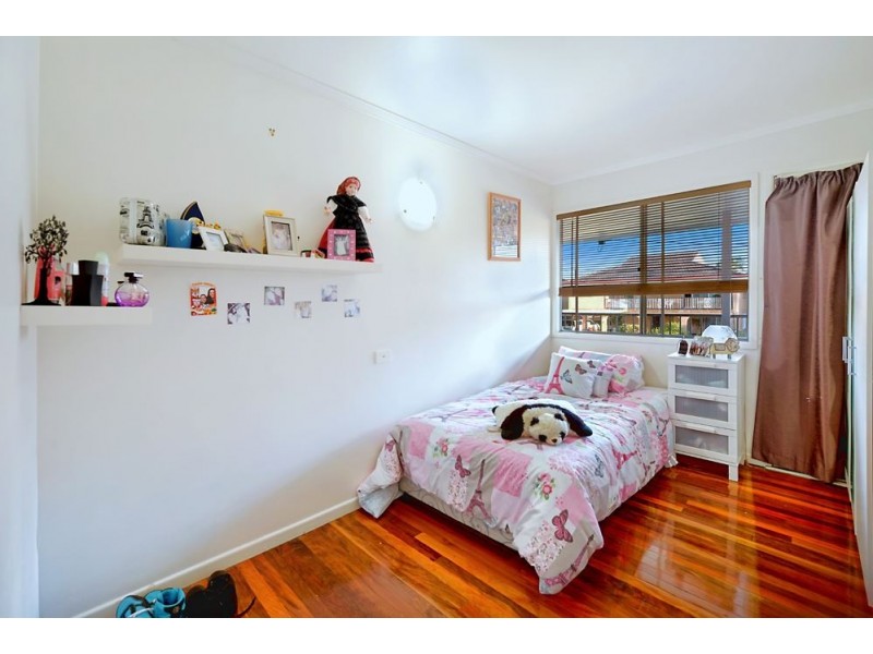 19 Scoter Avenue, Paradise Point QLD 4216