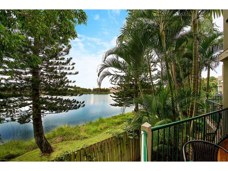 54/7-9 Santa Cruz Boulevard, Clear Island Waters QLD 4226