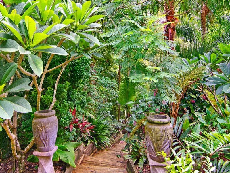 39 Luxton Court, Tallebudgera Valley QLD 4228