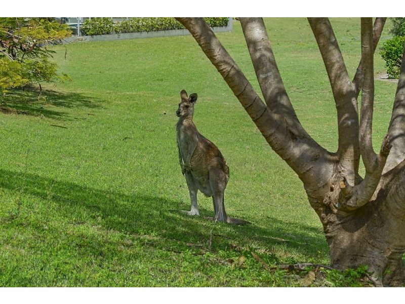 5935 Birkdale Terrace, Sanctuary Cove QLD 4212