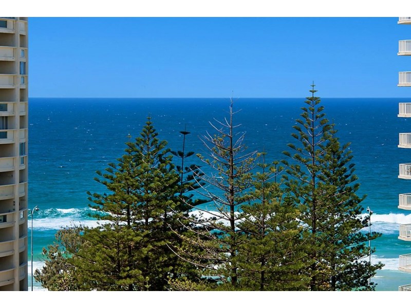 5 Palm Avenue, Surfers Paradise QLD 4217