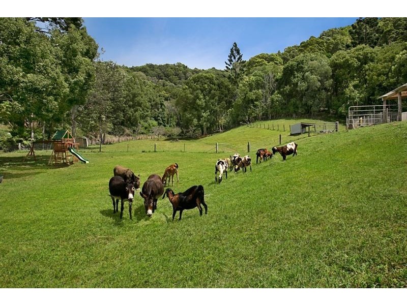 742 Currumbin Creek Road, Currumbin Valley QLD 4223