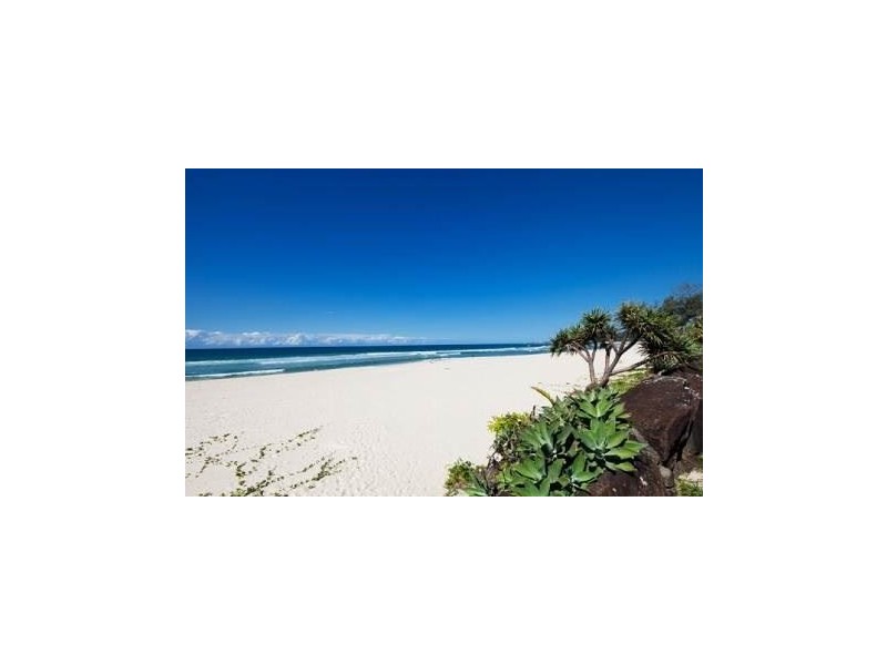 1/165 Jefferon Lane, Palm Beach QLD 4221