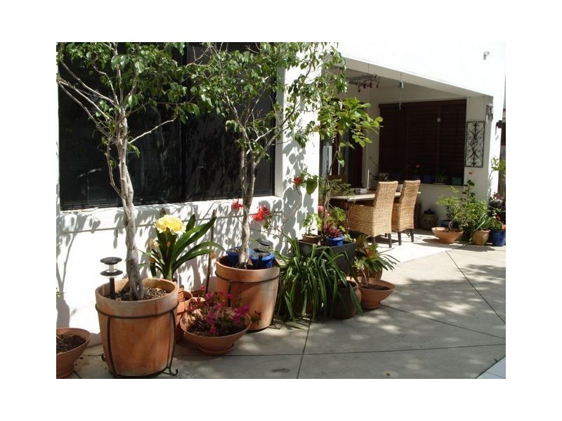 1/41 Seagull Avenue, Mermaid Beach QLD 4218