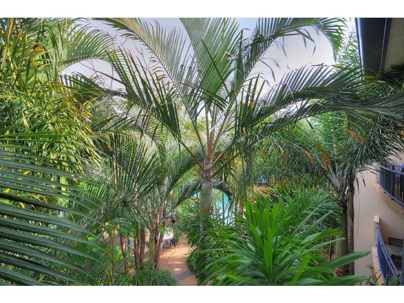 148/2360 Gold Coast Highway, Mermaid Beach QLD 4218