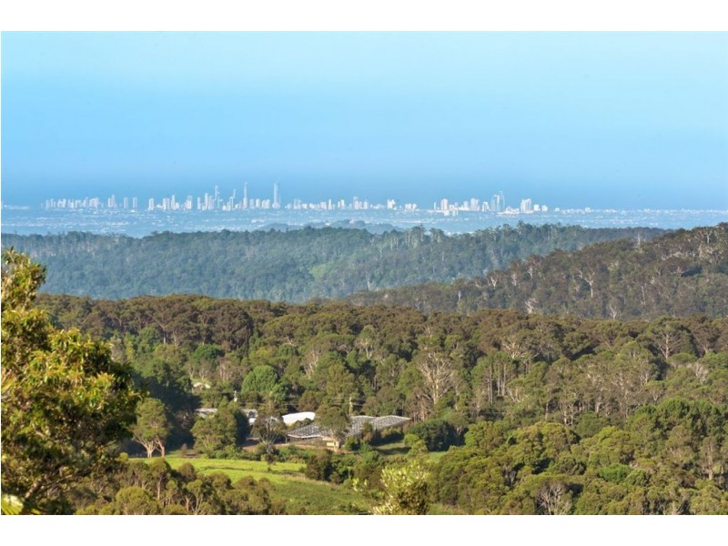 137 Lyrebird Ridge Road, Springbrook QLD 4213